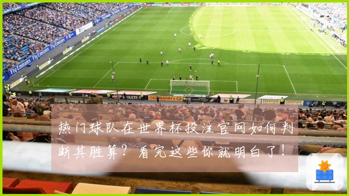 热门球队在世界杯投注官网如何判断其胜算？看完这些你就明白了！