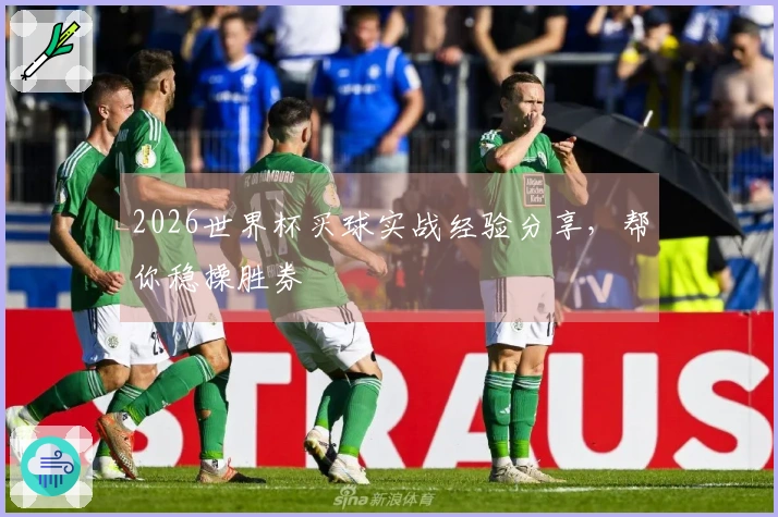 2026世界杯买球实战经验分享，帮你稳操胜券