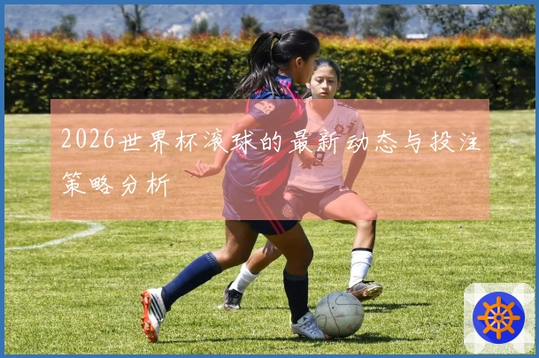 2026世界杯滚球的最新动态与投注策略分析