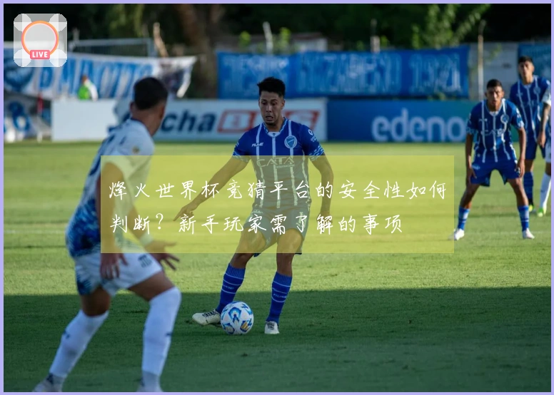 烽火世界杯竞猜平台的安全性如何判断？新手玩家需了解的事项