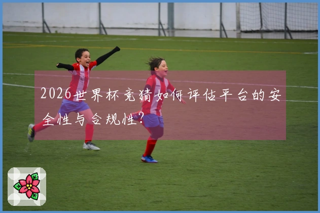 2026世界杯竞猜如何评估平台的安全性与合规性？